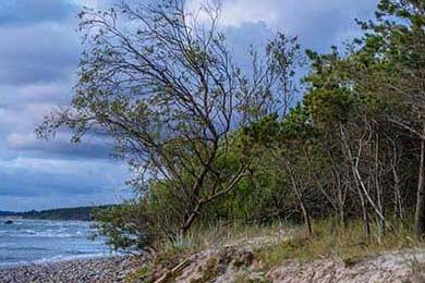 女孩高考288分是带货剧本？抖音回应