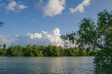 女孩高考288分是带货剧本？抖音回应